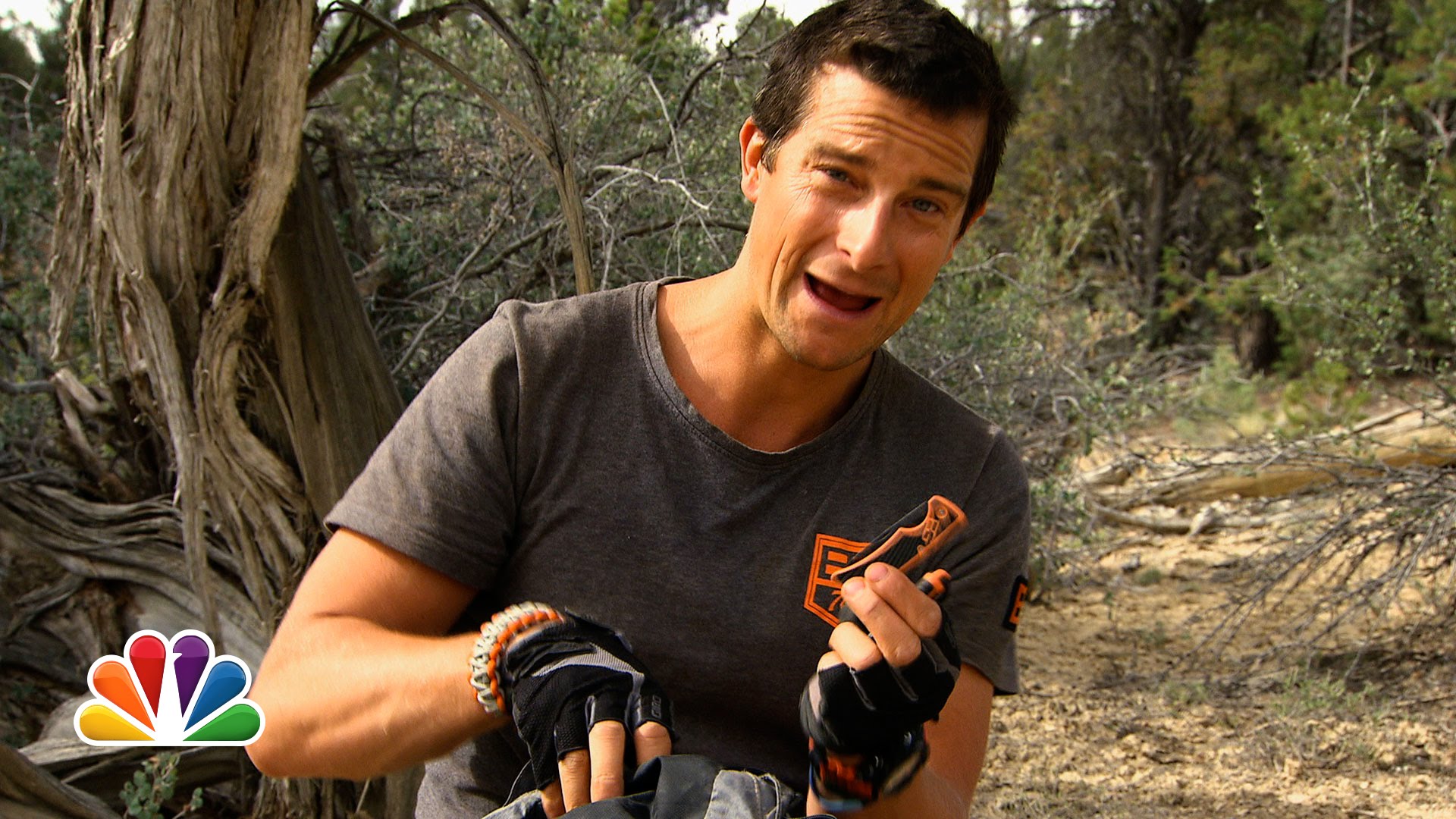Running Wild with Bear Grylls - Wikipedia